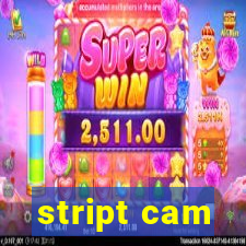 stript cam